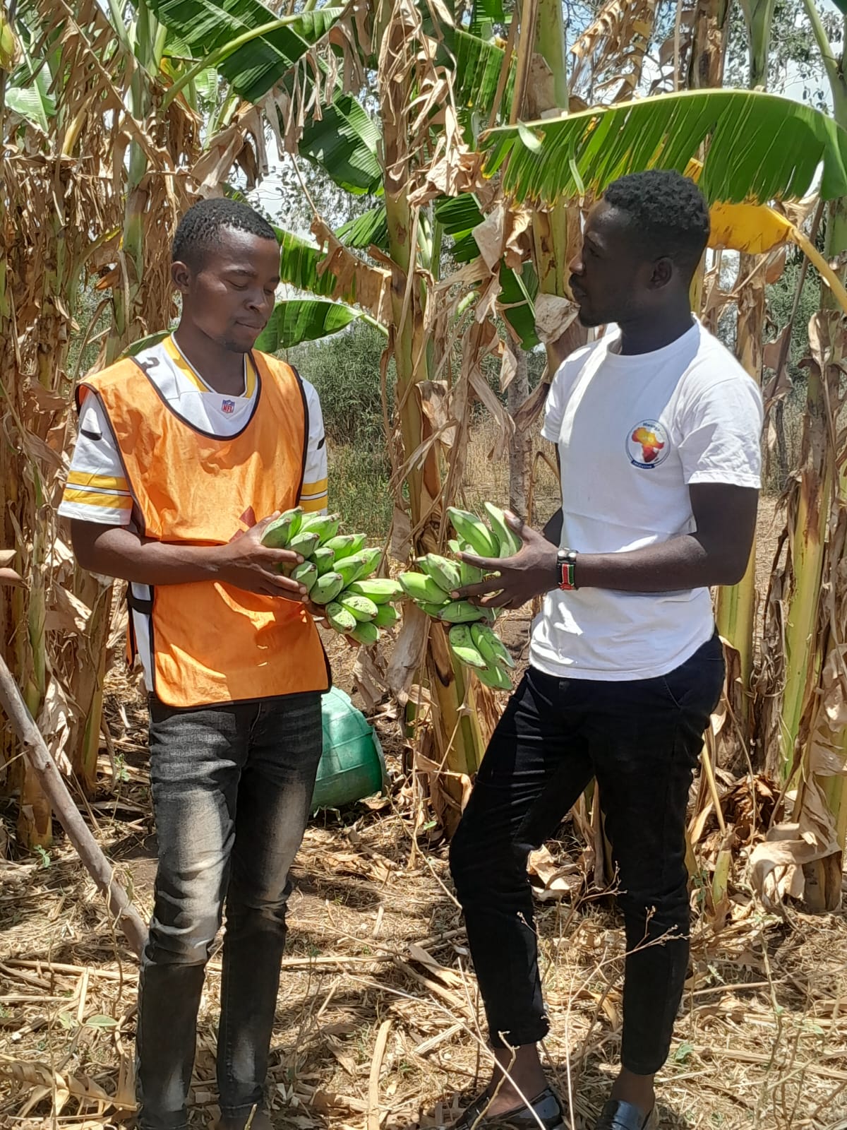 Sustainable Agriculture & Livelihoods